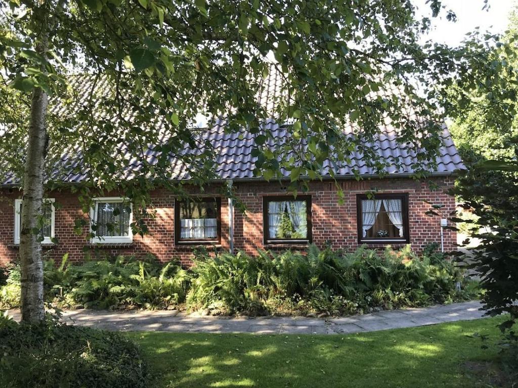 Deich Im Landhaus Michaela Friedrichskoog Kültér fotó